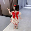 Vestido Infantil Brisa Recorte - Loja BiBia