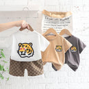 Conjunto Infantil Masculino Tigre - Loja BiBia